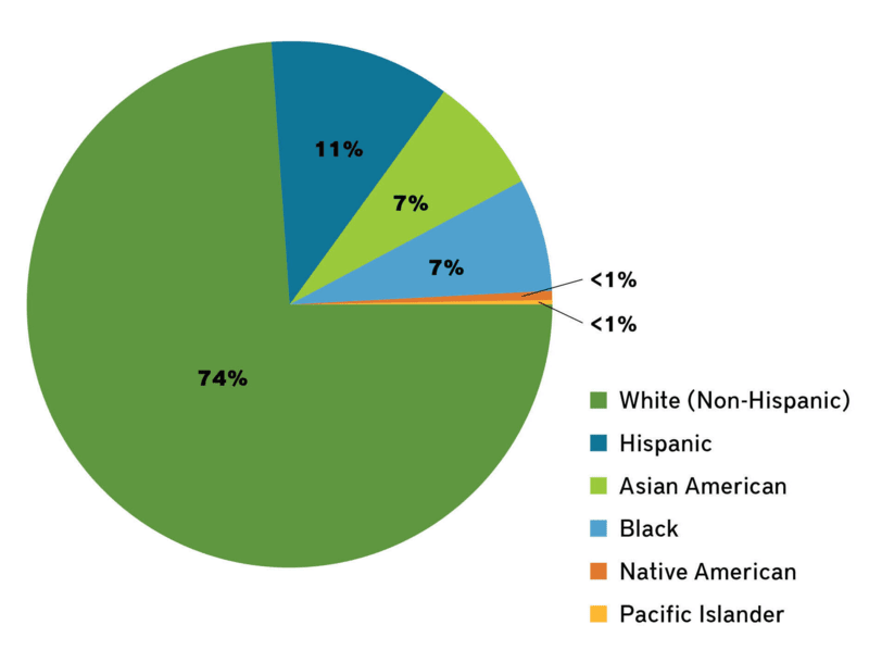 loan purchases by race / ethnicity